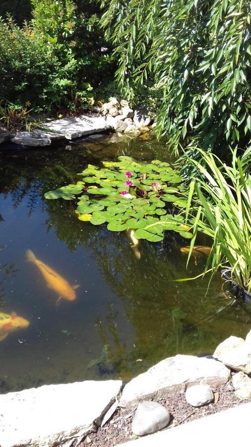 비스카로세 Le Jardin De Nemo B&B 외부 사진