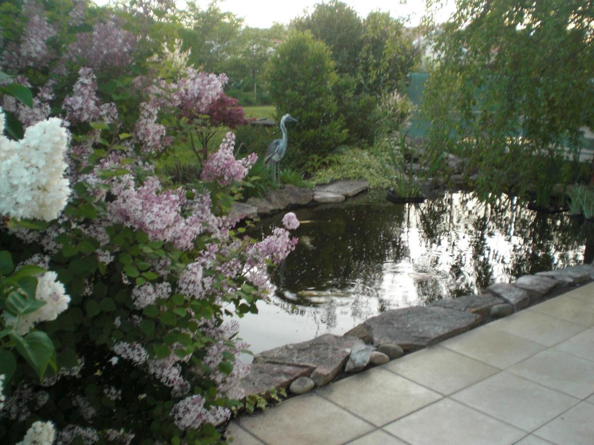 비스카로세 Le Jardin De Nemo B&B 외부 사진