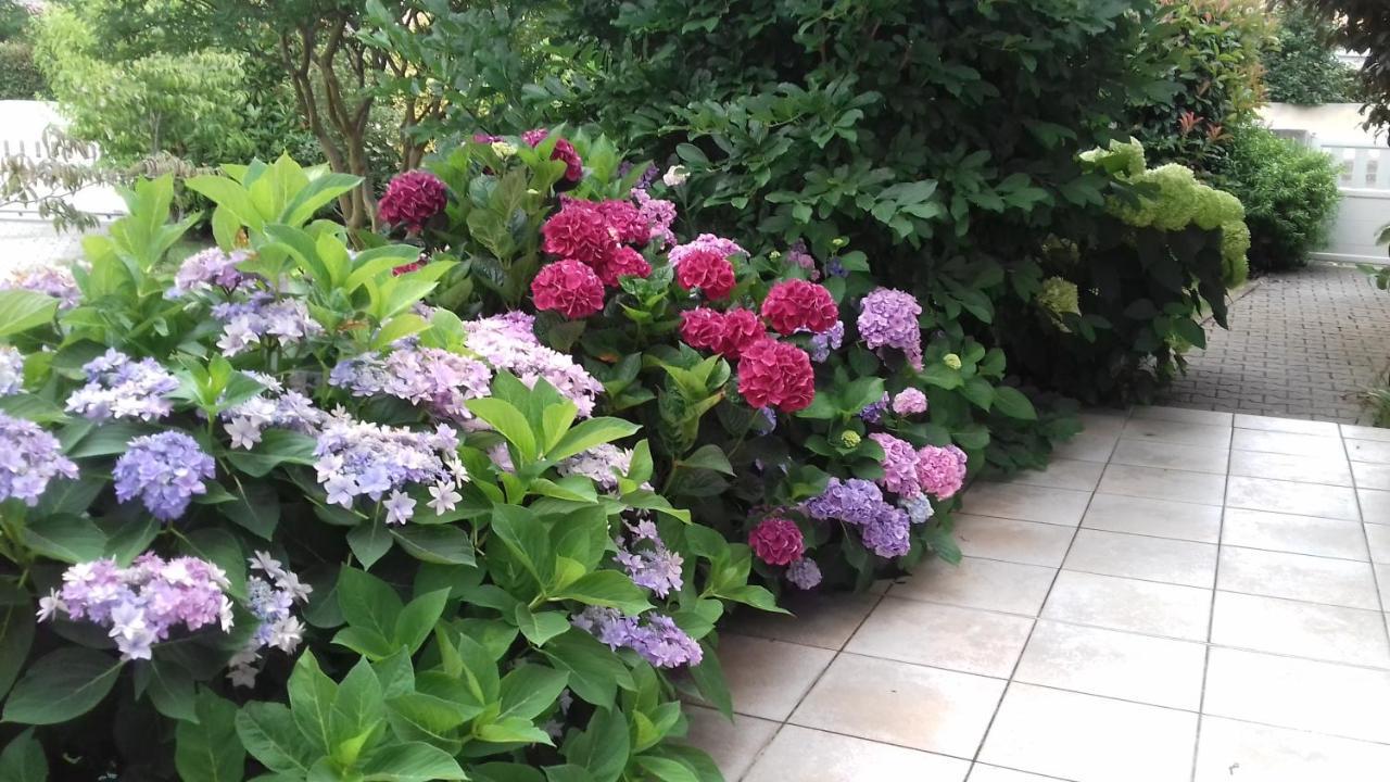 비스카로세 Le Jardin De Nemo B&B 외부 사진